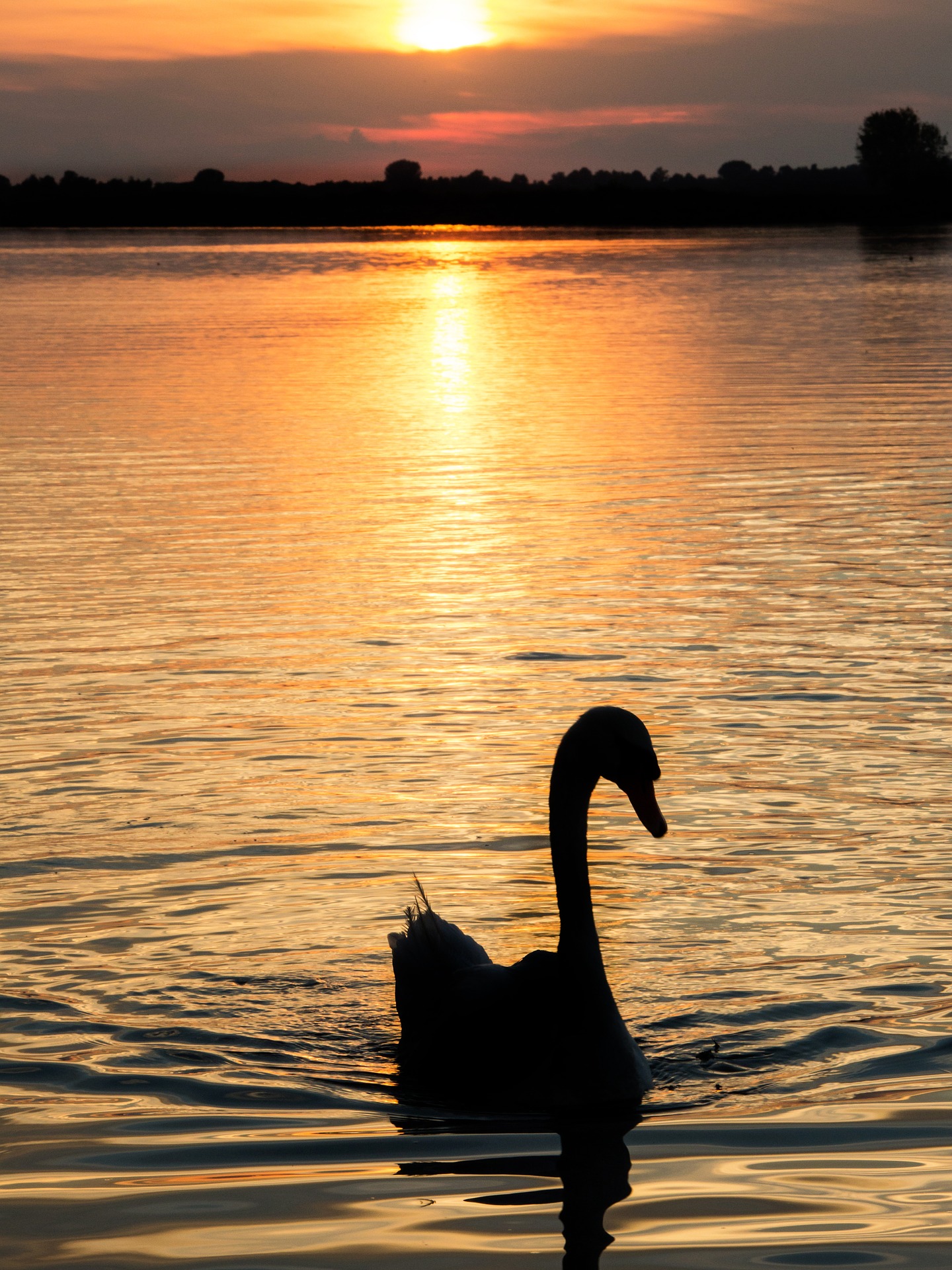 Tramonto sul Mincio